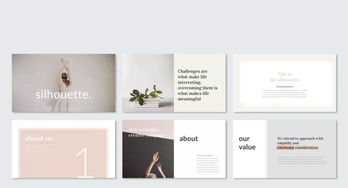 平面设计的全面审视 从PPT制作到专业素养的探讨